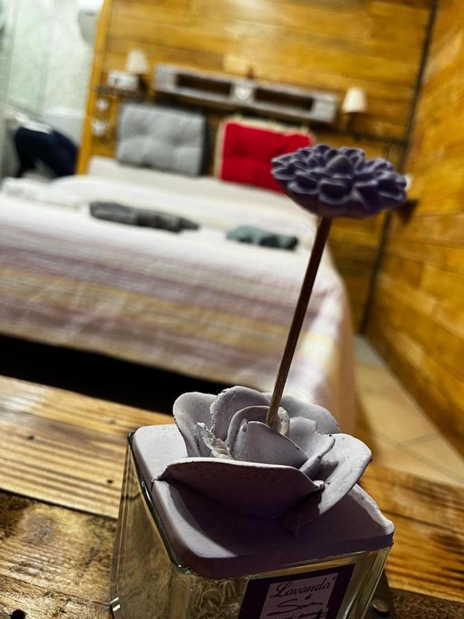 La Casa A Colori Βίλα Βιτέρμπο Εξωτερικό φωτογραφία